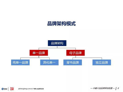 策世品牌觀 七日微光，照亮品牌管理之路